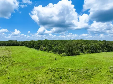 0 County Road 547 Kirbyville TX 75956
