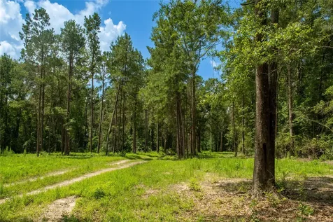 0 County Road 547 Kirbyville TX 75956