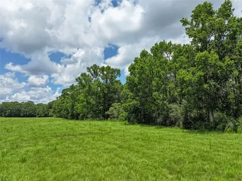 0 County Road 547 Kirbyville TX 75956