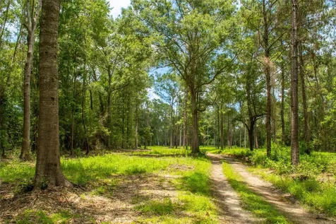 0 County Road 547 Kirbyville TX 75956