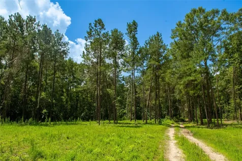 0 County Road 547 Kirbyville TX 75956