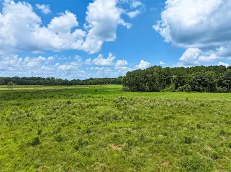 0 County Road 547 Kirbyville TX 75956