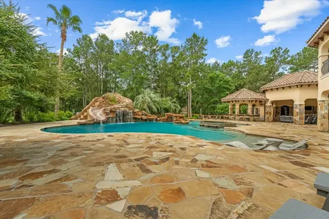 28322 Meadow Forest Magnolia TX 77355