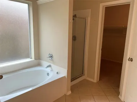 20618 Mauve Orchid Way Cypress TX 77433
