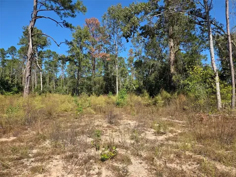 108 Acres Morgan Cemetery Road Cleveland TX 77328