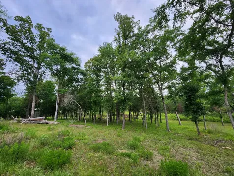 9042 Safari Bluff Larue TX 75770