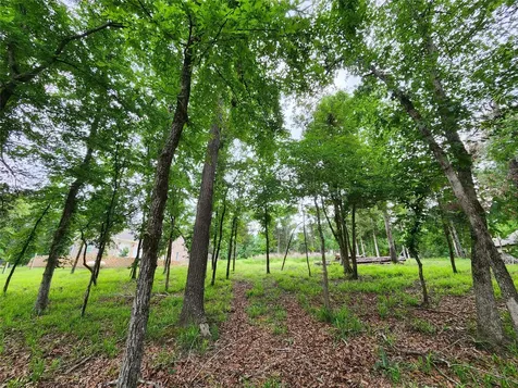 9042 Safari Bluff Larue TX 75770