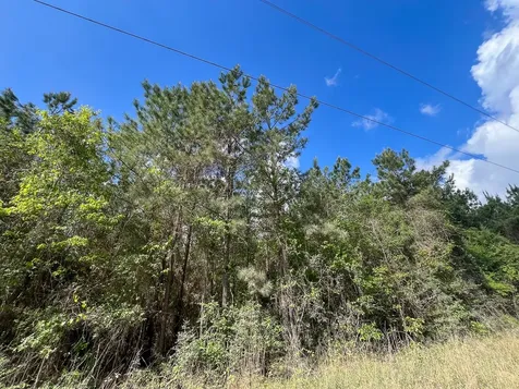 1 Cr 4300 Woodville TX 75979