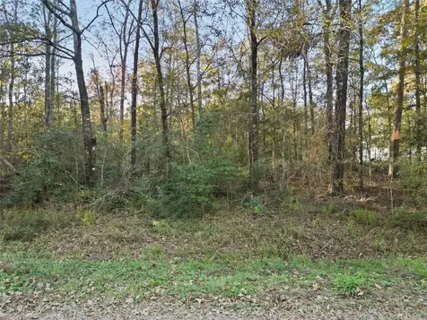 0 Somerset Livingston TX 77351