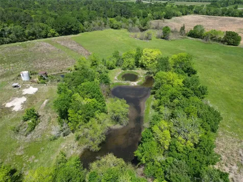 10.01 Acres Cr 3495 Lovelady TX 75851