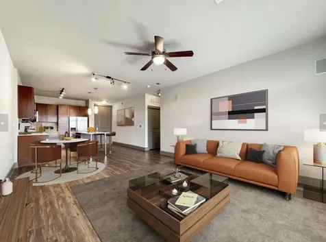 2910 Milam Street 1124 Houston TX 77006