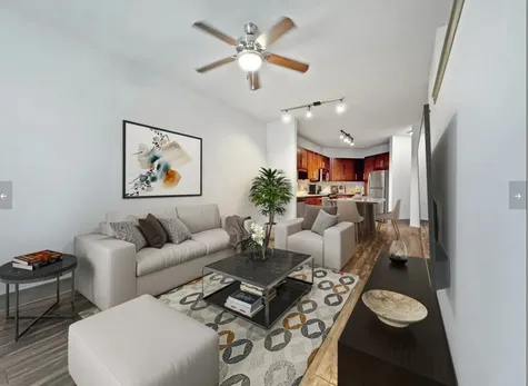 2910 Milam Street 1124 Houston TX 77006