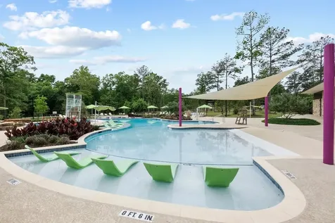 503 Carina Gaze Drive Conroe TX 77318