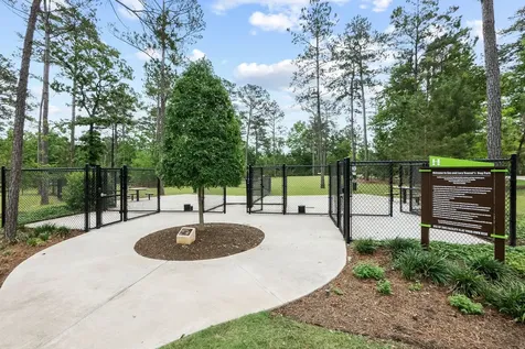 503 Carina Gaze Drive Conroe TX 77318
