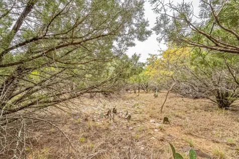 Lot 52 Carnoustie Drive Graford TX 76449