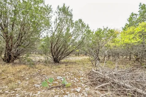 Lot 52 Carnoustie Drive Graford TX 76449