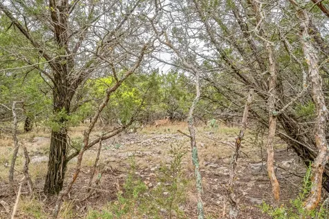 Lot 52 Carnoustie Drive Graford TX 76449