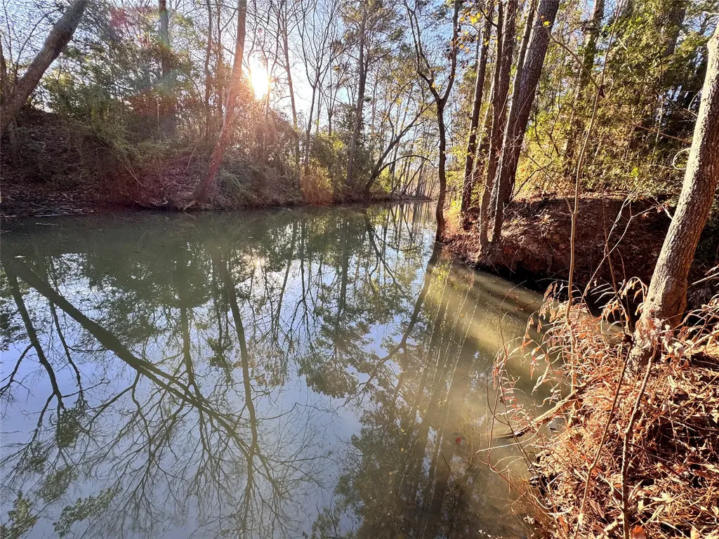 Lot 98 Barbil Lane Houston TX 77336