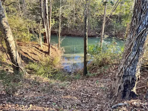Lot 98 Barbil Lane Houston TX 77336