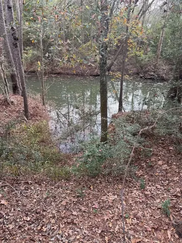 Lot 98 Barbil Lane Houston TX 77336