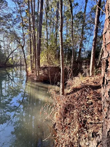 Lot 98 Barbil Lane Houston TX 77336