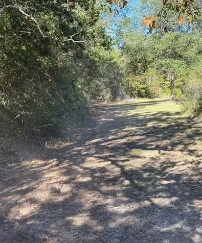 Tbd Fm 1280 East Lovelady TX 75851