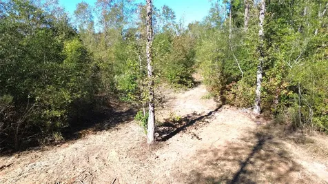 Tbd Fm 1280 East Lovelady TX 75851