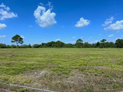 00000 County Road 203 Liverpool TX 77577
