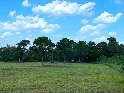 00000 County Road 203 Liverpool TX 77577