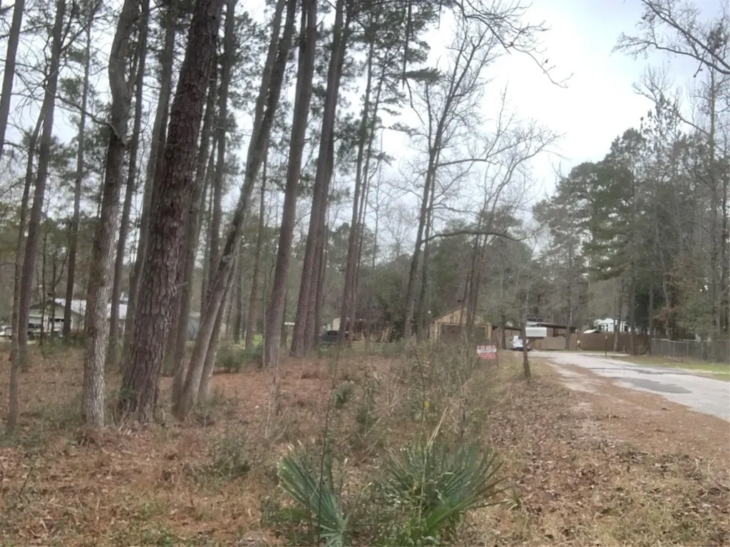 11 Yolanda Street Huntsville TX 77320