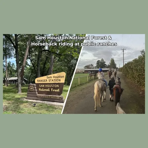 - Sweetgum Lane Oakhurst TX 77359