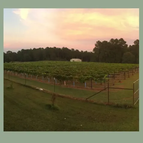 - Sweetgum Lane Oakhurst TX 77359