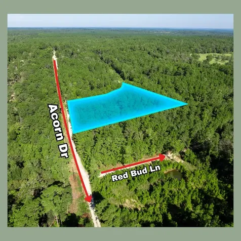 - Sweetgum Lane Oakhurst TX 77359