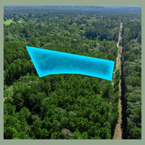 - Sweetgum Lane Oakhurst TX 77359