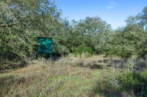 1746 County Road 103 Columbus TX 78934