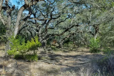 1746 County Road 103 Columbus TX 78934
