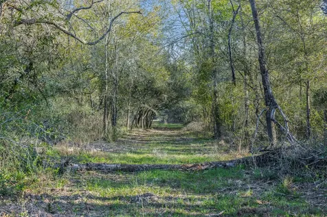 1746 County Road 103 Columbus TX 78934