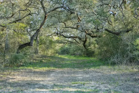 1746 County Road 103 Columbus TX 78934