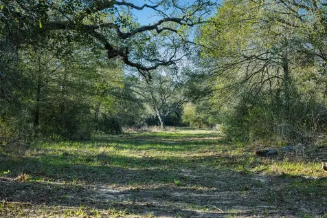1746 County Road 103 Columbus TX 78934