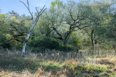 1746 County Road 103 Columbus TX 78934