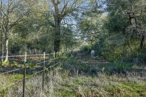 1746 County Road 103 Columbus TX 78934