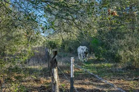 1746 County Road 103 Columbus TX 78934