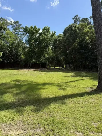 9805 Shadow Wood Drive Houston TX 77080