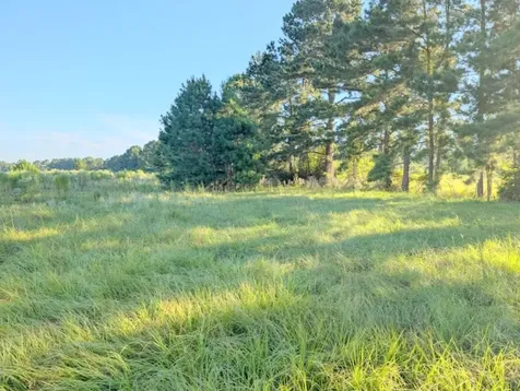 Tbd County Road 3385 Lovelady TX 75851