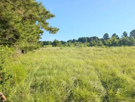 Tbd County Road 3385 Lovelady TX 75851