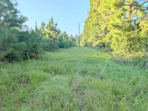 Tbd County Road 3385 Lovelady TX 75851