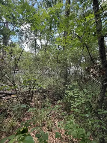 28624 Shawnee Court Huntsville TX 77364
