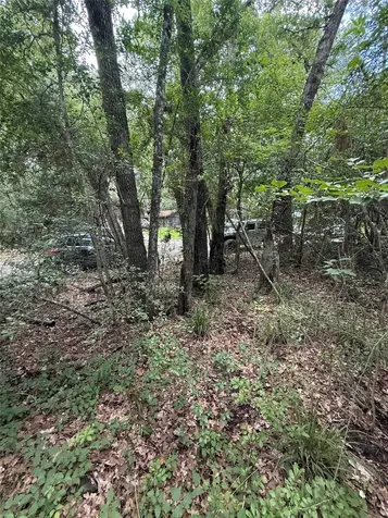 28624 Shawnee Court Huntsville TX 77364