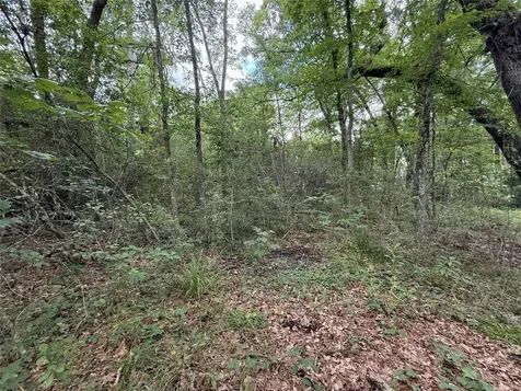 28624 Shawnee Court Huntsville TX 77364
