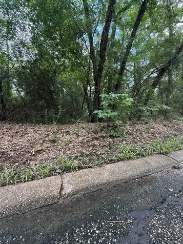 28624 Shawnee Court Huntsville TX 77364